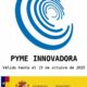 PYME INNOVADORA